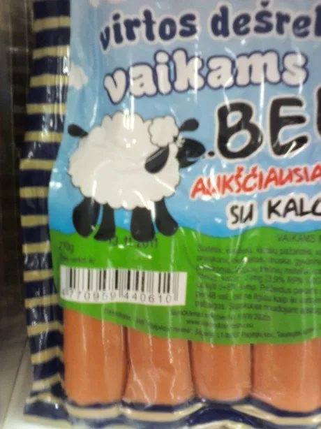 alytausgidas img2101