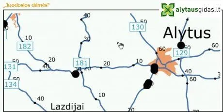 alytausgidas juod1
