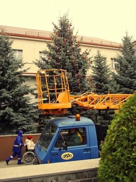 alytausgidas kaled eglu 13 ligo