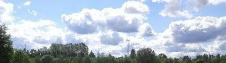 alytausgidas kalvo1