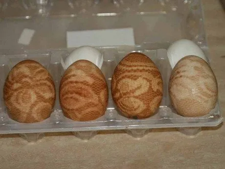 alytausgidas kiausmar1