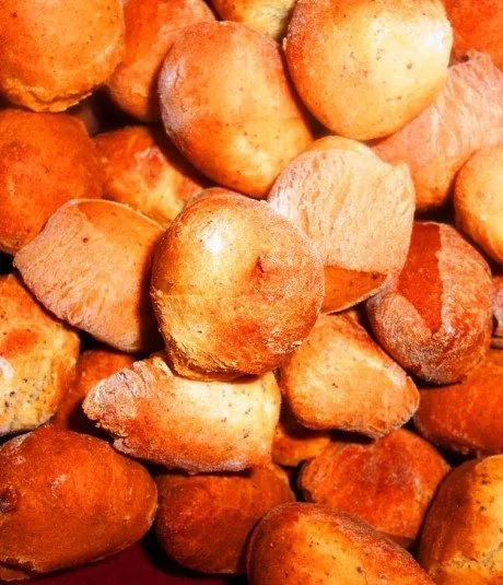 alytausgidas kuciuk1