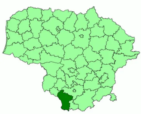 alytausgidas lazdijai1