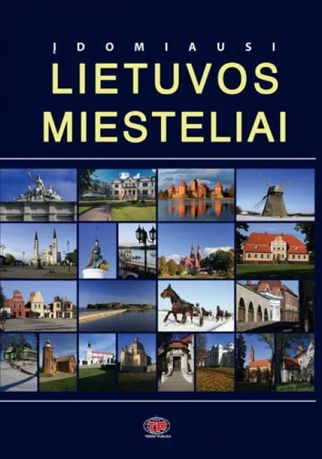 alytausgidas lietuvos miesteliai1