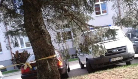 alytausgidas ligon aut1