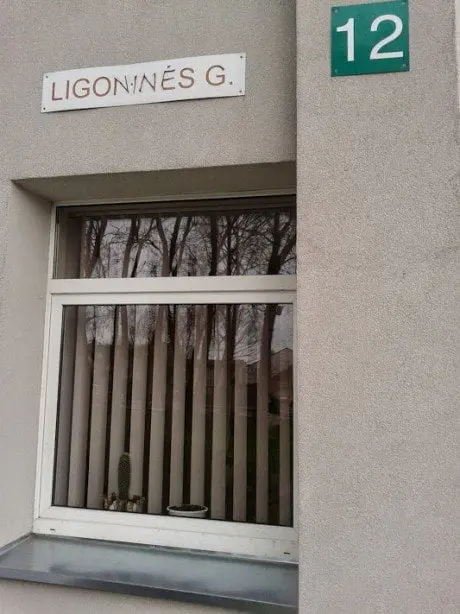 alytausgidas ligon gim1