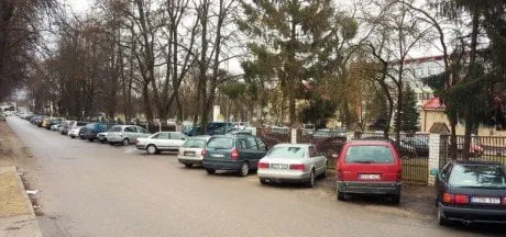 alytausgidas ligosto1