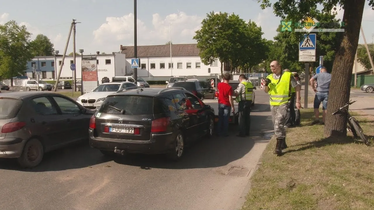 alytausgidas maxresdefault 4