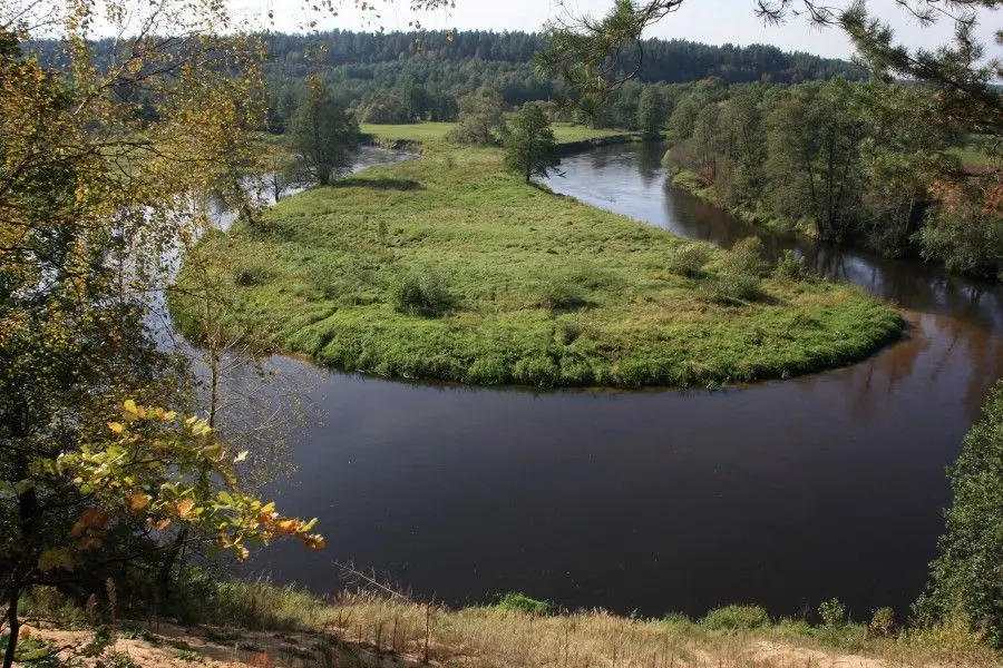 alytausgidas merkys