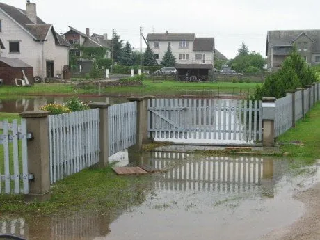 alytausgidas miklusenai21