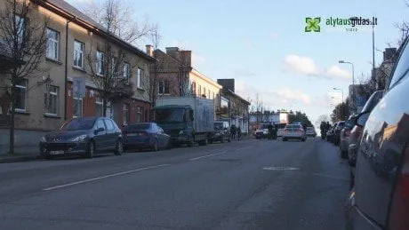 alytausgidas moco 1