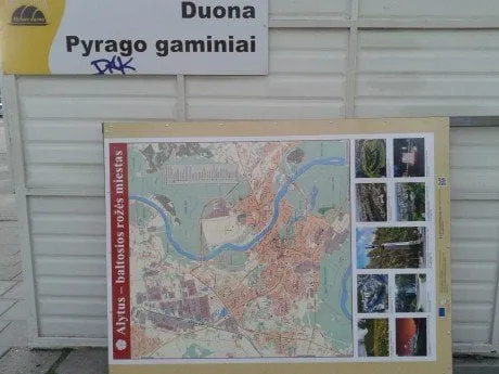 alytausgidas nuotrauka 0017