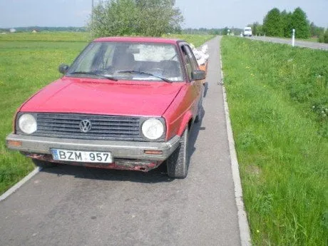 alytausgidas p51700311