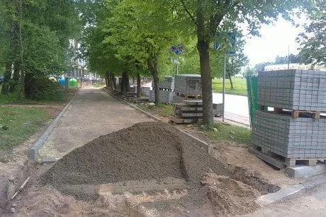 alytausgidas plyte1