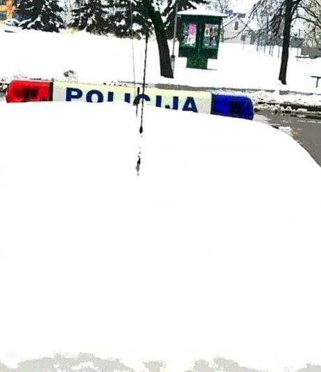 alytausgidas polisnie1