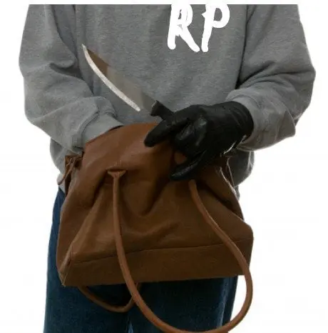 alytausgidas rppol1