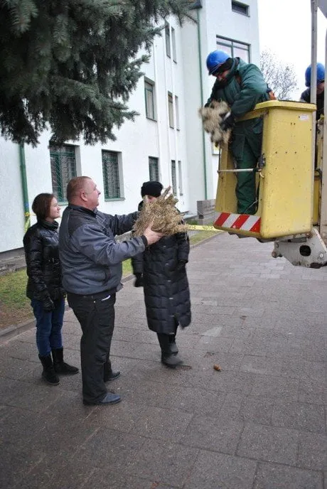 alytausgidas sandrpolicegl