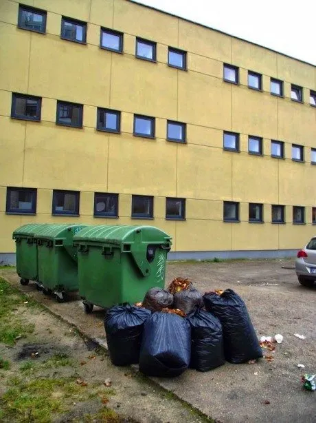 alytausgidas siuksldscf44861