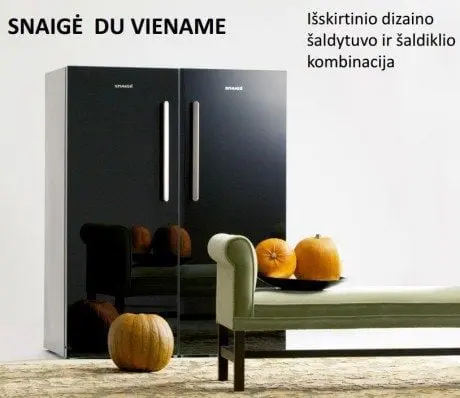 alytausgidas snai du