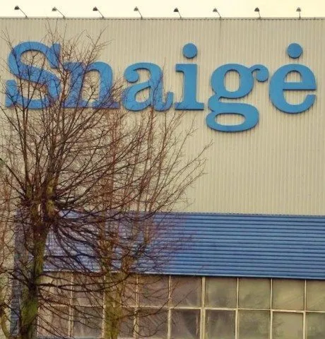 alytausgidas snaige7