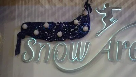 alytausgidas snowbesnor1