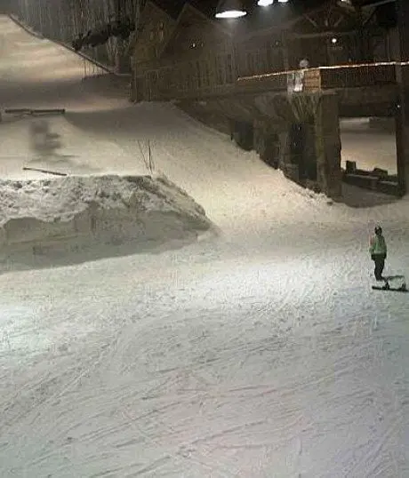 alytausgidas snoww3