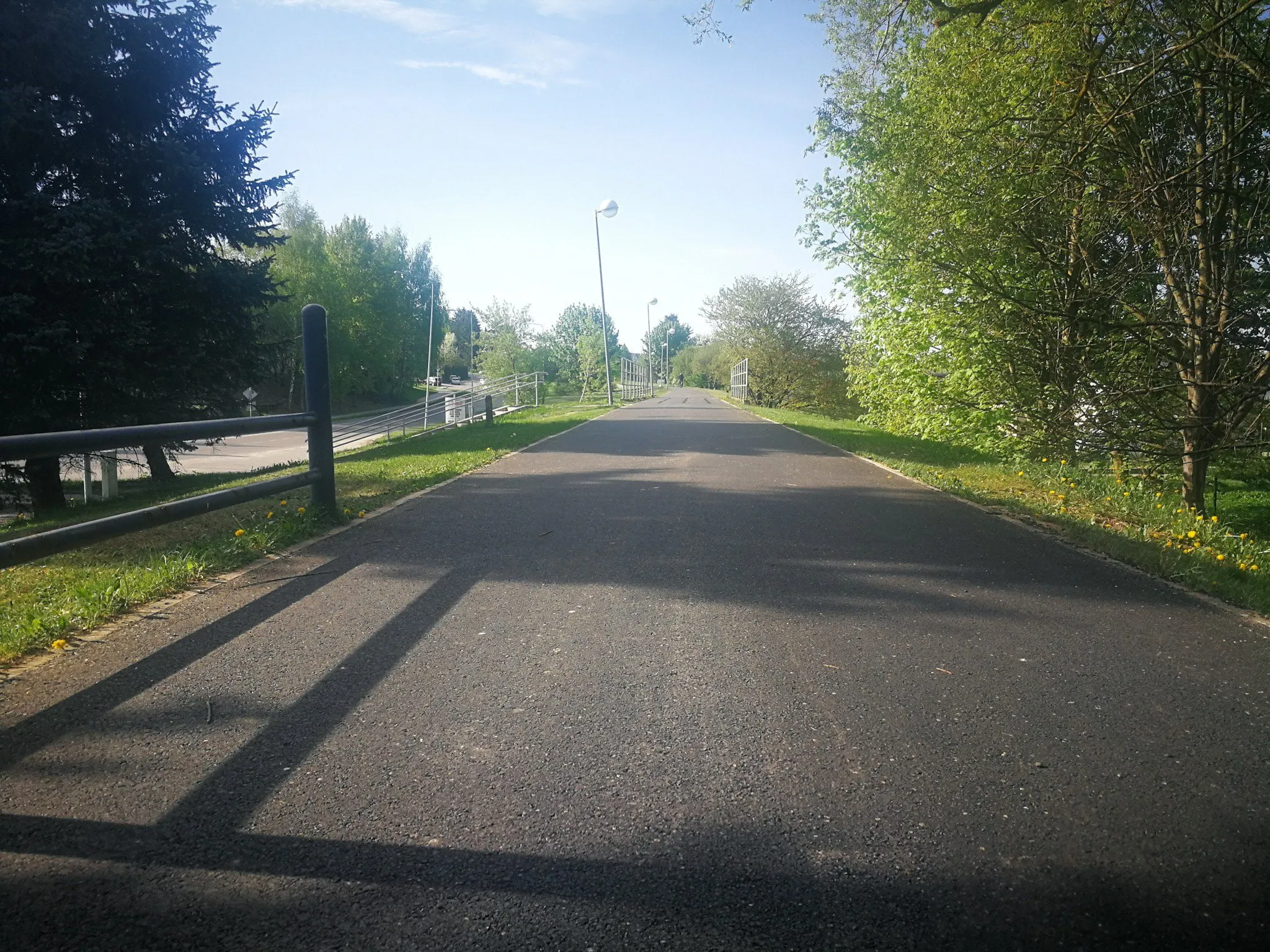 alytausgidas sveikatingumo takas