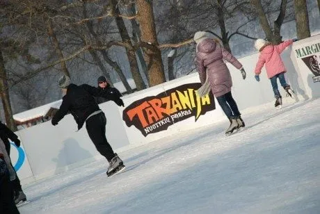 alytausgidas tarza 14 ledas31