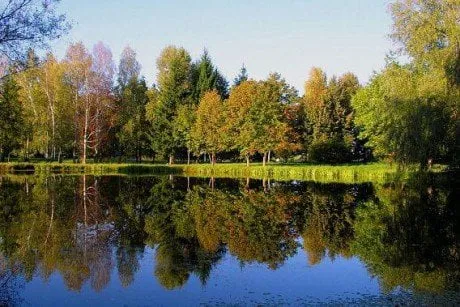 alytausgidas udrija1