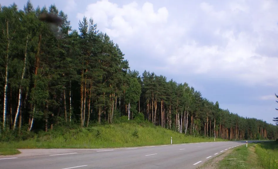 alytausgidas valkal