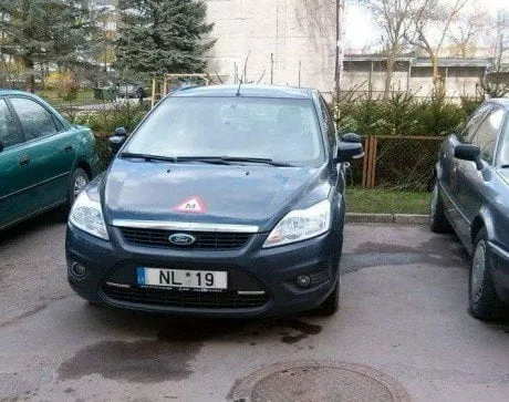 alytausgidas varnelioford1