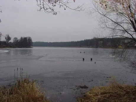 alytausgidas veisiejai11