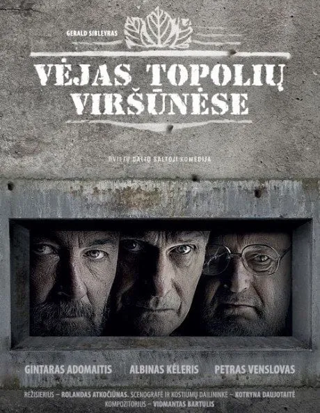 alytausgidas vej