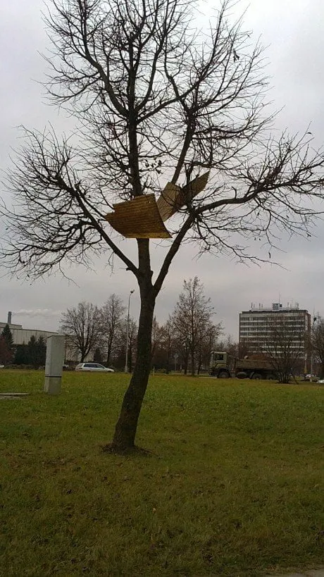 alytausgidas vejmedis