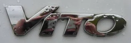 alytausgidas vito1