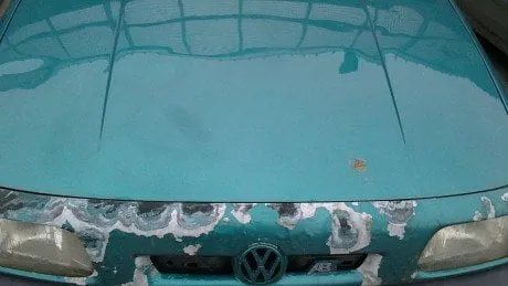 alytausgidas vw1