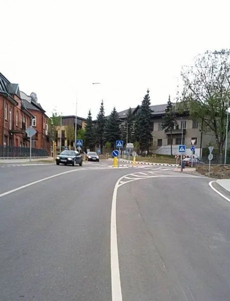 alytausgidas ziedvlnkns1