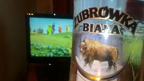 alytausgidas zubrbiala1