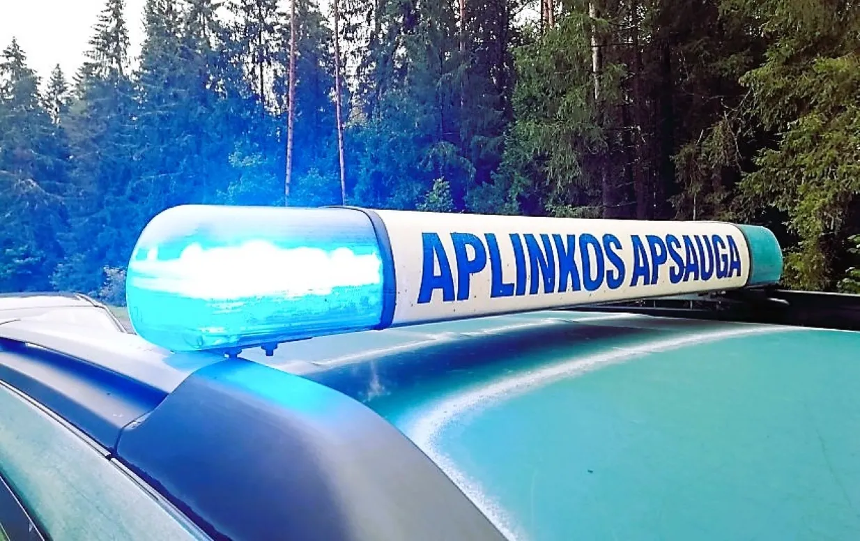 aplinko3037 8bb8644c206e3d3545f3a1d6585b7058s