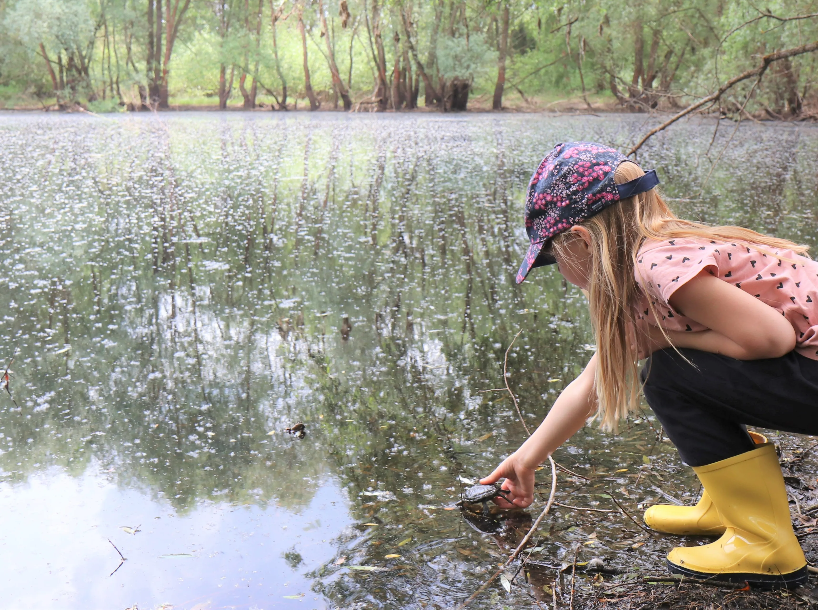 baliniu vezliu paleidimo akimirkass
