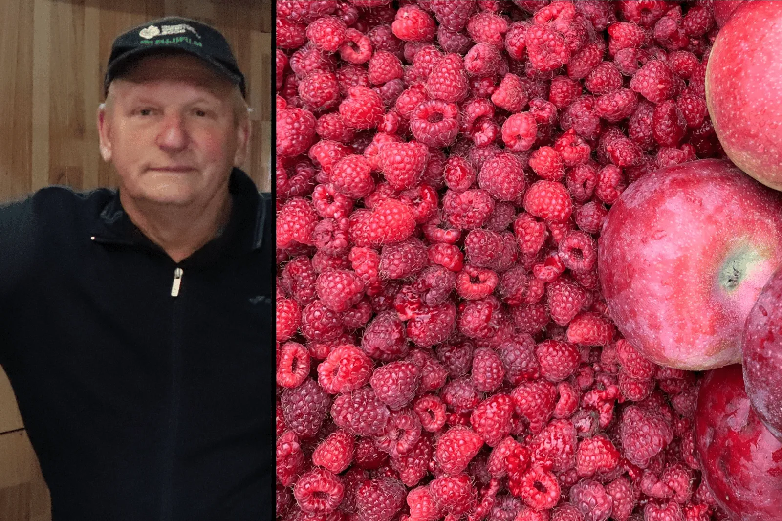 befunky sample 2022 10 25t121850690