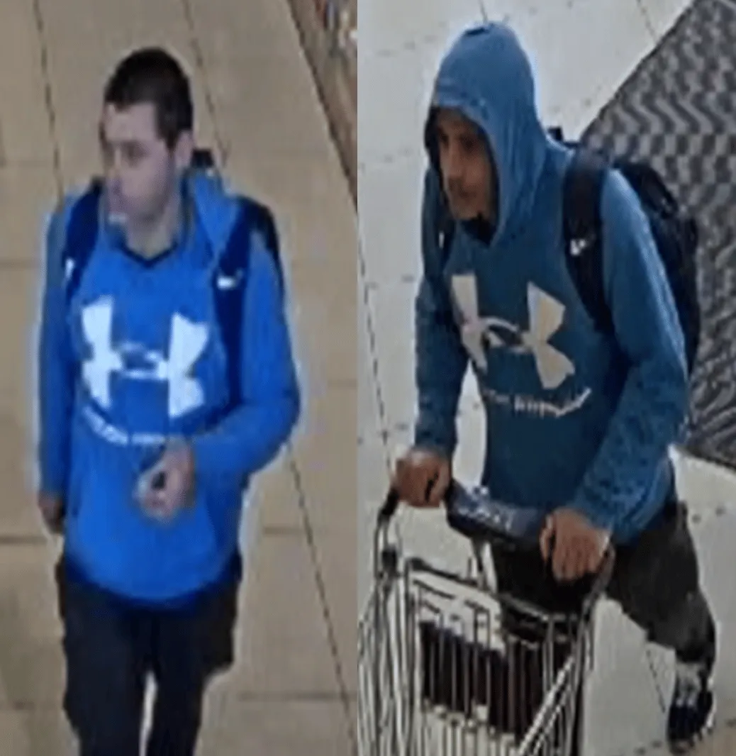 befunky sample 2022 11 11t112945768sw