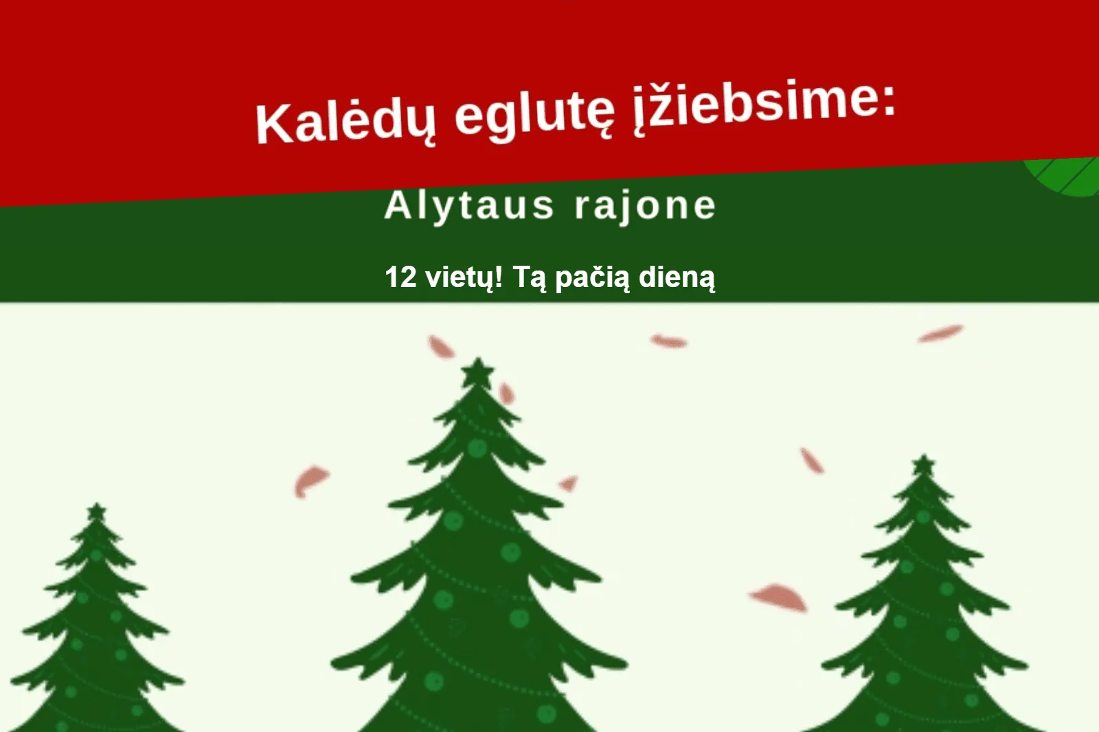 befunky sample 2022 12 02t103615004