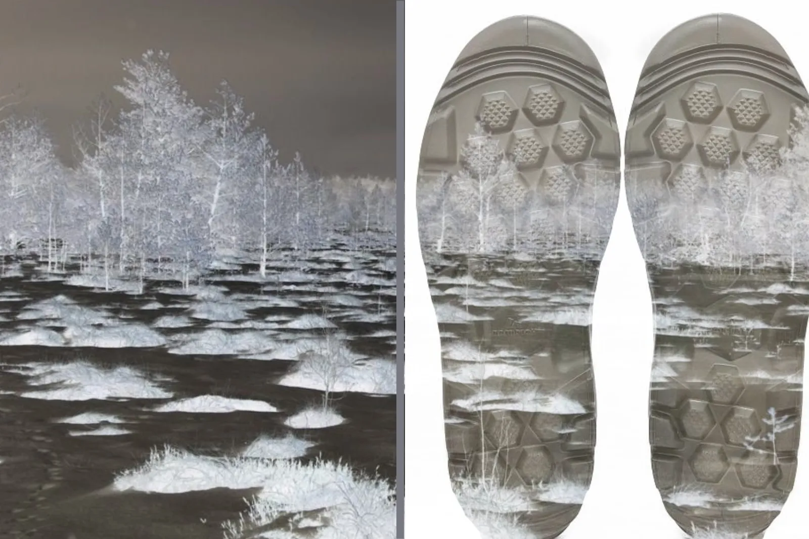 befunky sample 2023 01 24t130158662