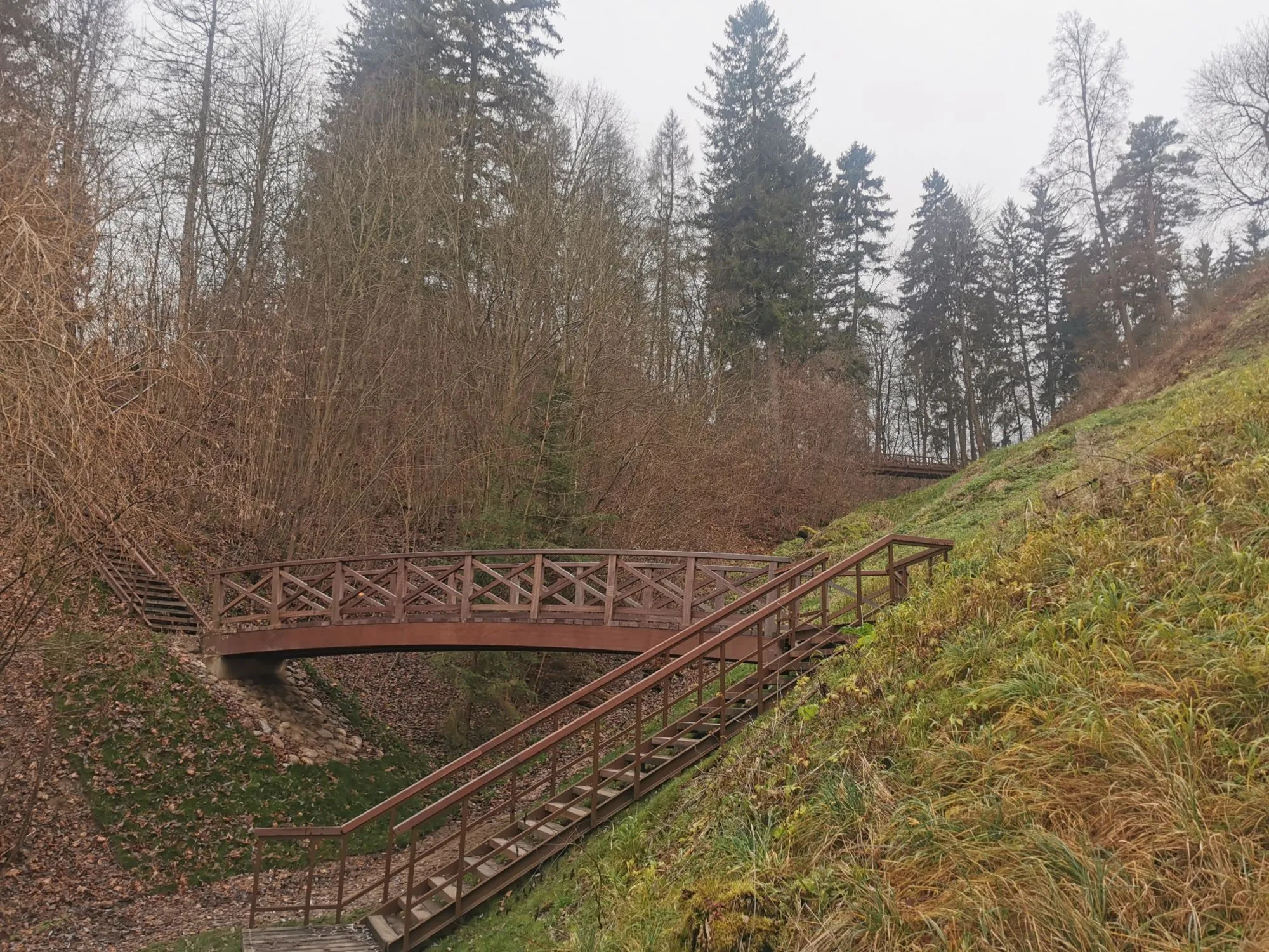 birstvytimg 20211117 143111