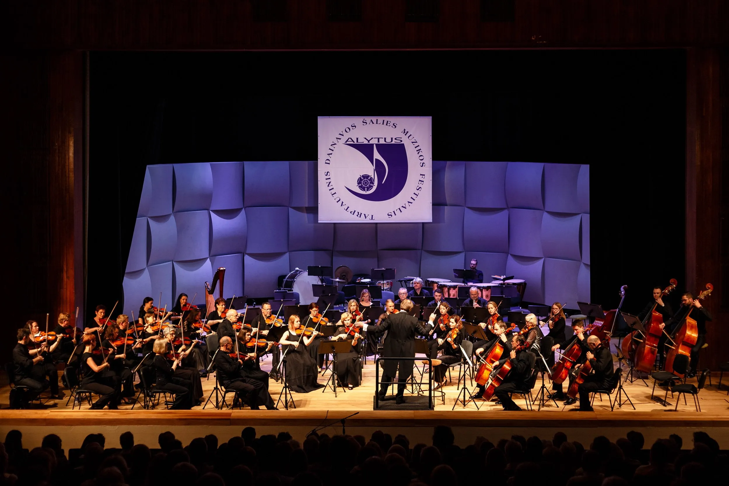 birzelis dainavos salies muzikos fest