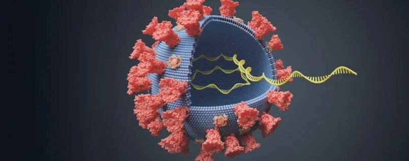 british2 format6001 1