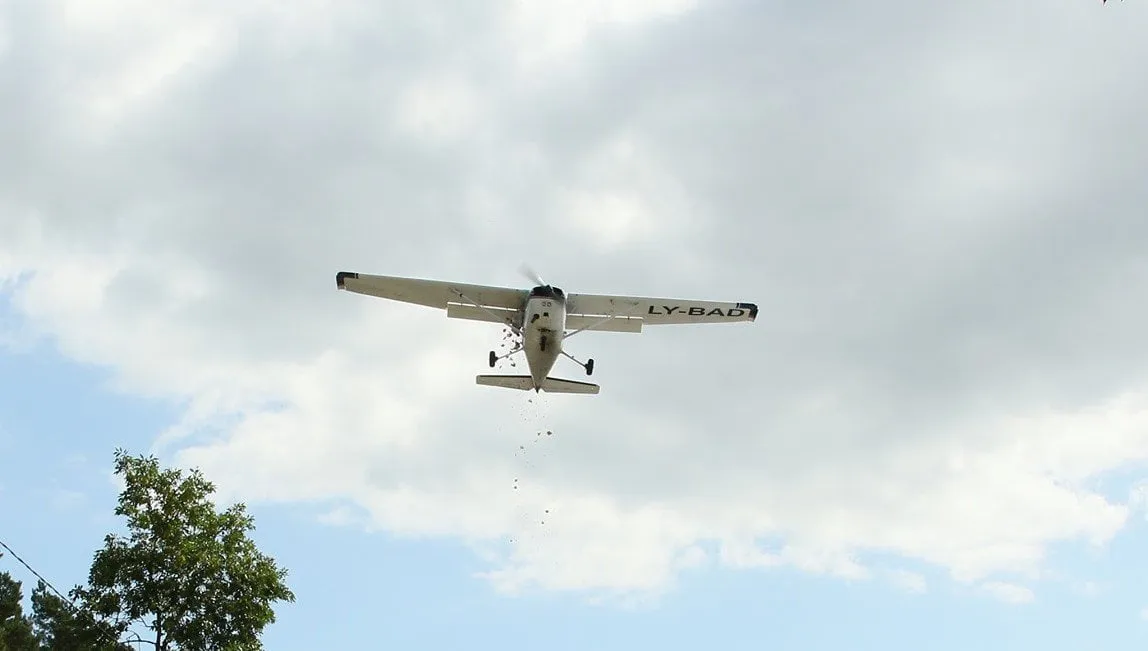 ces69213593 2544150752336769 5868977130997547008 n