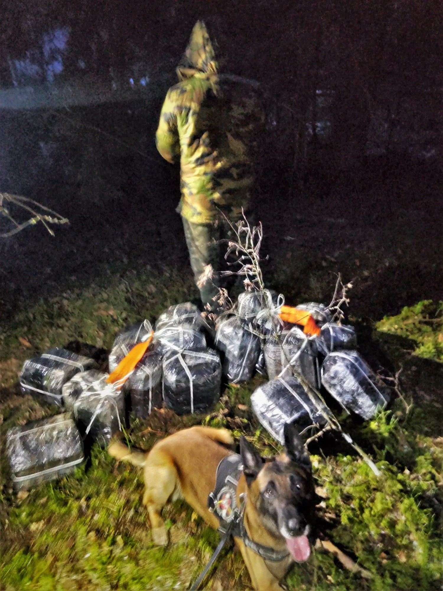 ci20230310 cig kabeliai 3