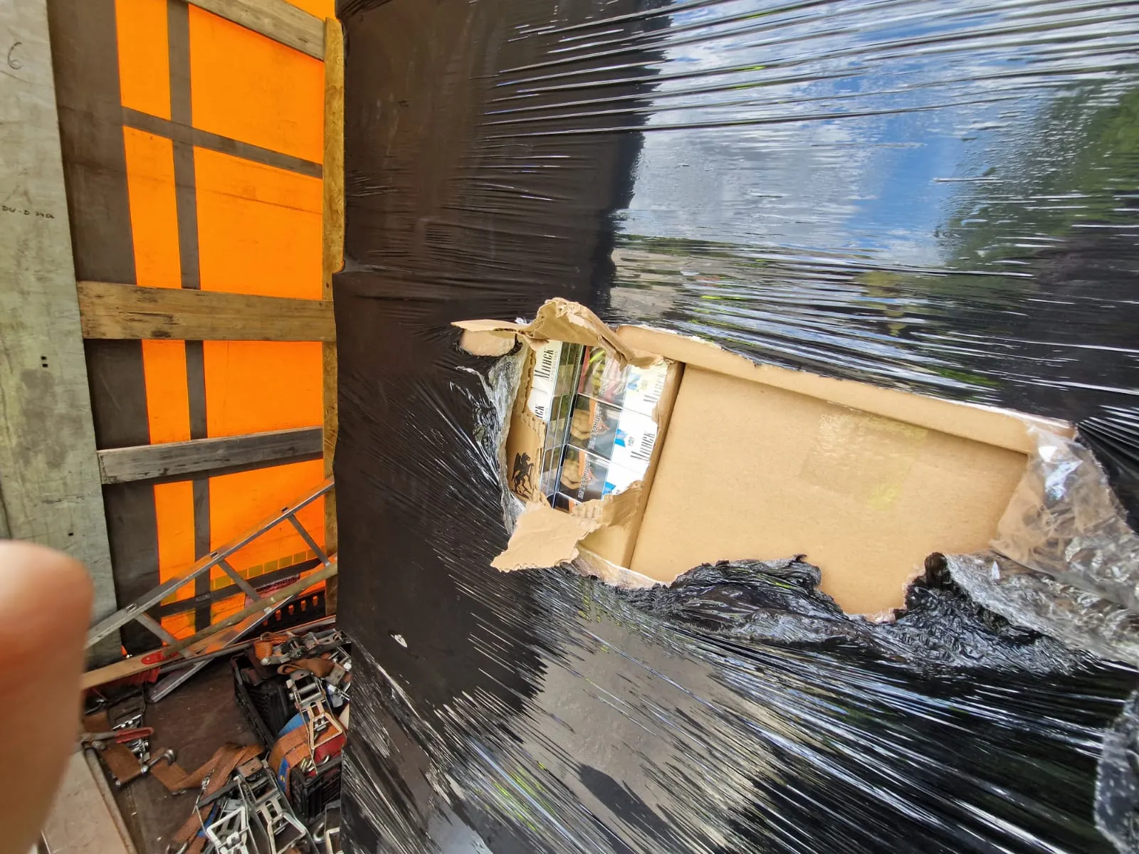 cifurimg 20230803 wa0003